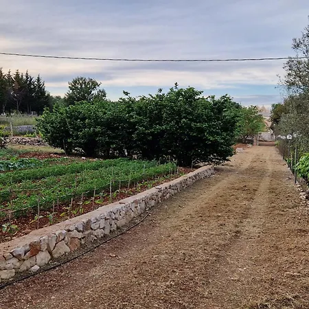 Antico Trullo Altavilla In Valle D'itria Tra Martina Franca, Ceglie Messapica, Cisternino Holiday home *